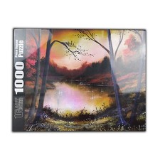 Jigsaw Puzzle Night Landscape 1000 Piece Brand New