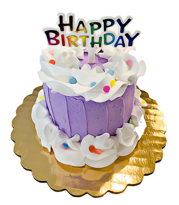 Fake Mini Cake Birthday Cake Purple Confetti Cake Dezicakes Ebay