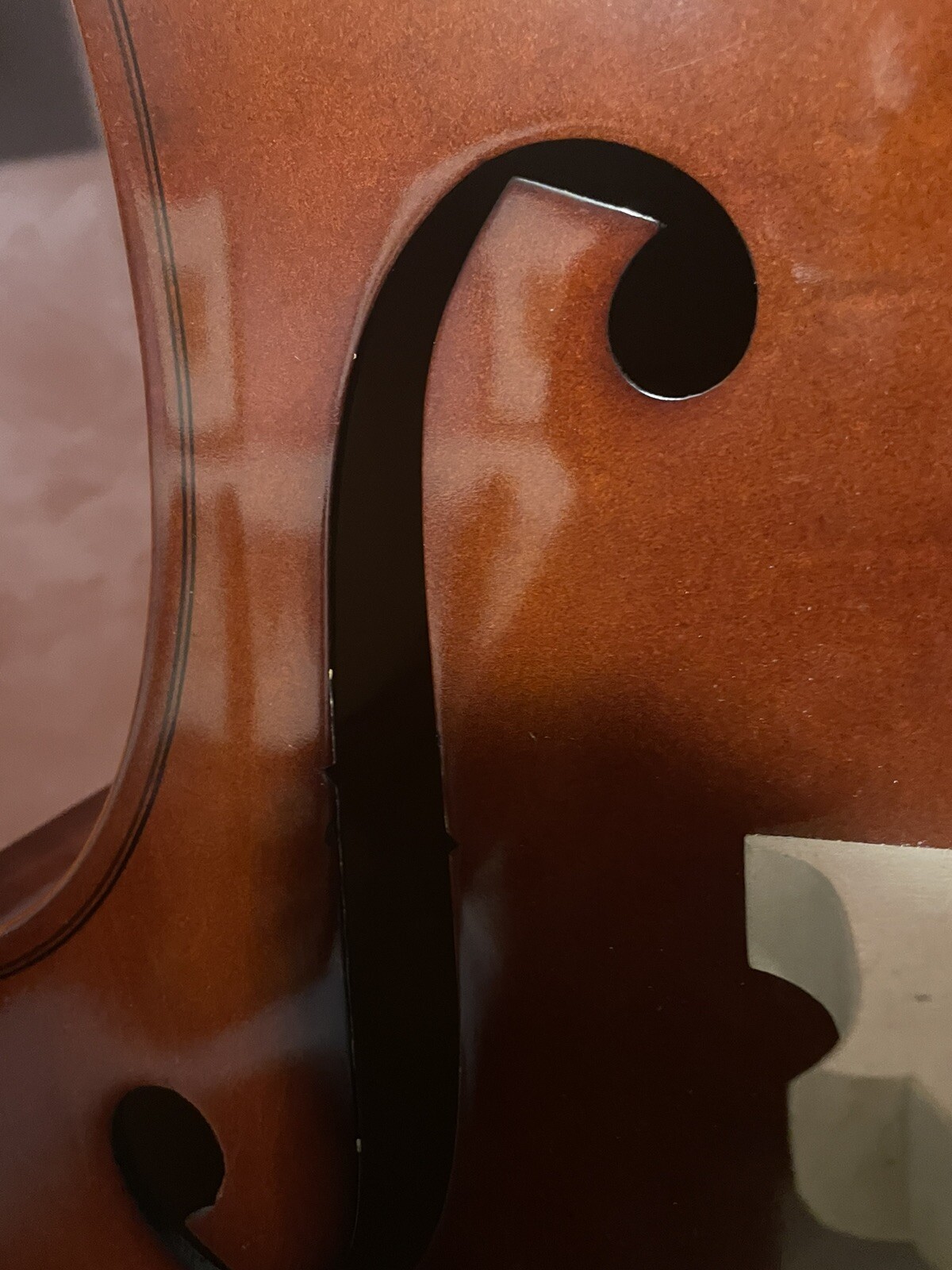 Shen SB80 3/4 scale upright bass eBay