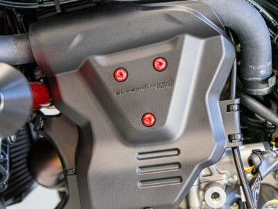 Ducabike Ducati Hypermotard 698 Mono / RVE Left Engine Cover Screws - Red