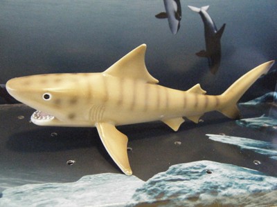 schleich tiger shark