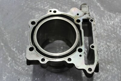 Zylinder Rotax Motor Aprilia RSV Tuono 1000 RP #R7530