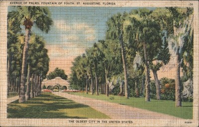 St. Augustine, Florida FL Avenue of Palms, Fountain Youth 1939 Saint Augustine