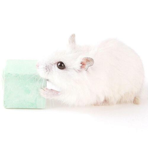 Hamster Rabbit Rat Guinea-pig Calcium Mineral Chew Cube Teeth Grinding Toys一 - Picture 6 of 12
