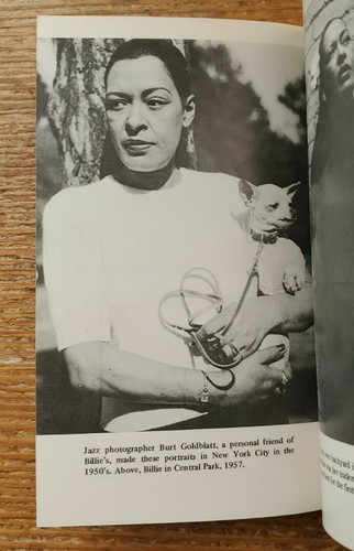 Lady Sings The Blues Movie Billy Holiday Autobiography Paperback Diana Ross - Bild 4 von 4