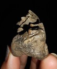 Bild 2 von 7