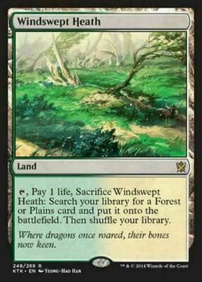 Windswept Heath ~ Khans of Tarkir [ Excellent ] [ Magic MTG ]
