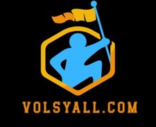 Domain Name : VOLSYALL.COM Super Premium High Traffic Domain