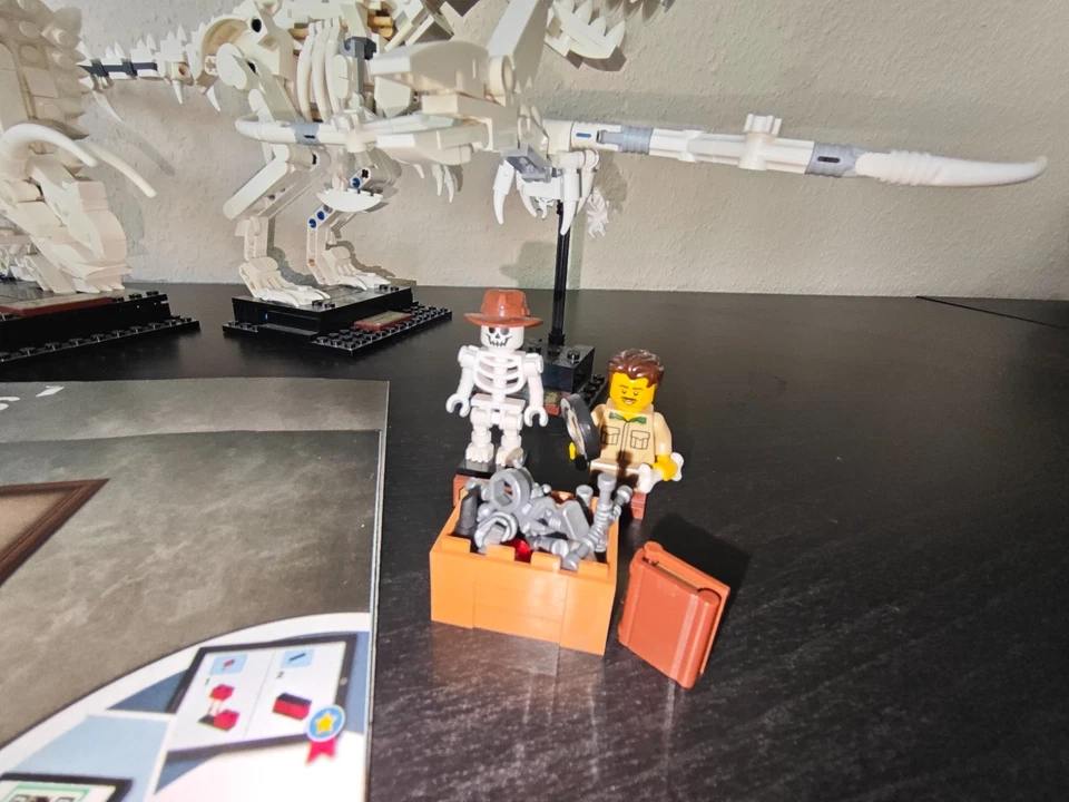 LEGO Ideas 21320 Dinosaur Fossils, Foto 2 von 5