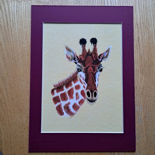 Giraffe : Print By Paul Bottriell 2005