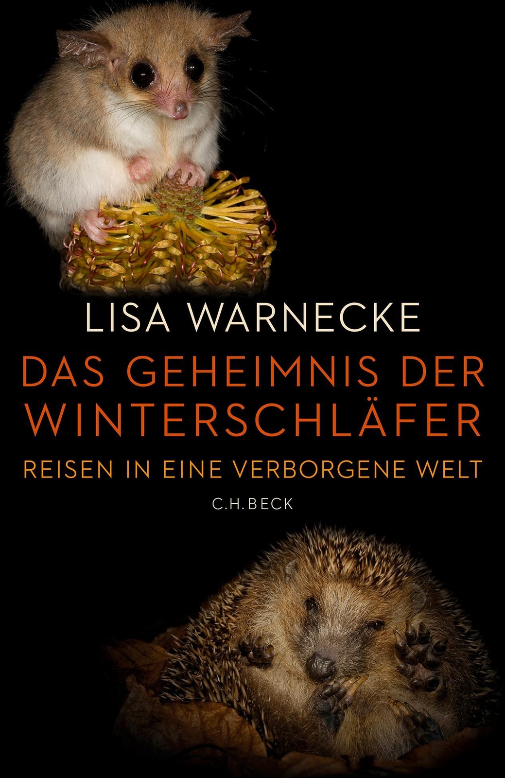 Thumbnail - Das Geheimnis Der Winterschläfer Lisa Warnecke