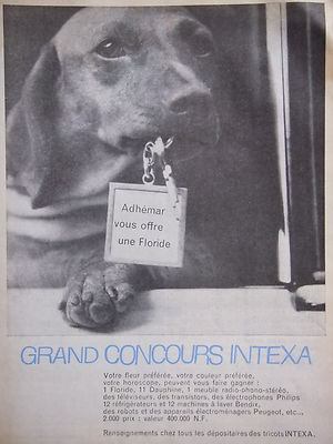 WERBUNG 1960 INTEXA ADHÉMAR IHR ANGEBOT EIN FLORIDA - DACKEL - ADVERTISING