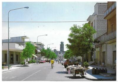LECCE (109) - SALENTINO WILLOW Via Umberto I - FG/Non Vg