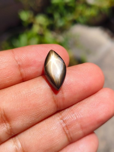 7.99 Cts A STUNNING NO HEAT BLACK STAR SAPPHIRE A RARE MARQUISE SHAPE OF SHARP ⭐ - Bild 6 von 8