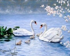 Diamond painting kit - Swan family by Diamondmosaic