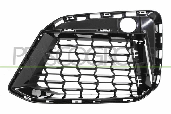 Prasco LüFtungsgitter StoßFäNger Links FüR BMW 5Er Touring G31 G30 F90-image