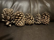 Lot Of 5 Pine Cones-Various shapes and sizes....
