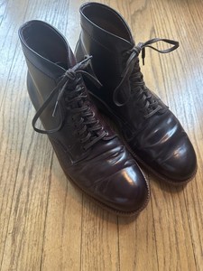 Alden Plain Toe Boot | eBay