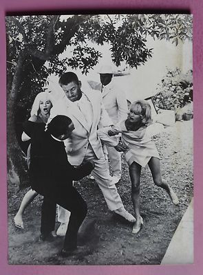 (X266) Pressefoto - Judy Geeson/Diana Dors/David Prowse  - Hammerhead (1968)