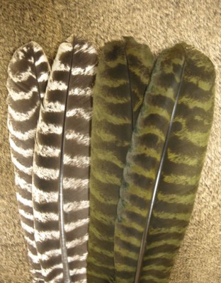1 PAIR OZARK BARRED TURKEY QUILLS Nature's Spirit Fly Tying Feathers