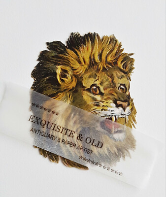 um 1900 Löwe Kopf Raubkatze Tier Glanzbild Prägedruck Ephemera Luxuspapier