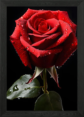 Rose Nahaufnahme Foto Gerahmtes Wandbild Poster Leinwanddruck Bild