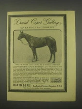1949 David Cope Ltd.  Ad - Gallery of Famous Racehorses Pretty Polly (1901)