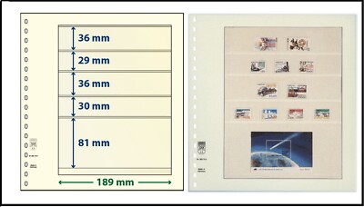 LINDNER 802513-T Blank Forms Leaves Sheets 5 Pockets 81x189mm