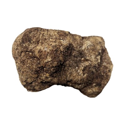 Schöne Tschetschenische Maserknolle Kappe 33cm x 20.3cm x 8 '', 5.4kg 503