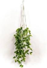 Fake Hanging Plant with Pots Wall Home Decor Artificial Hanging Basket Decor