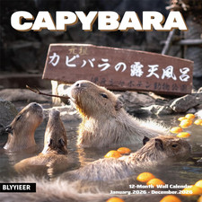 2026 Wall Calendar,Capybara Calendar 2026, Monthly Wall Calendar, 12" x 24" Open