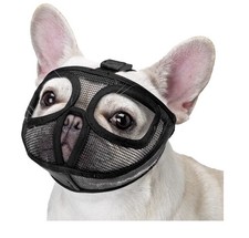 Dog Short Snout Licking S/Black New Open Package