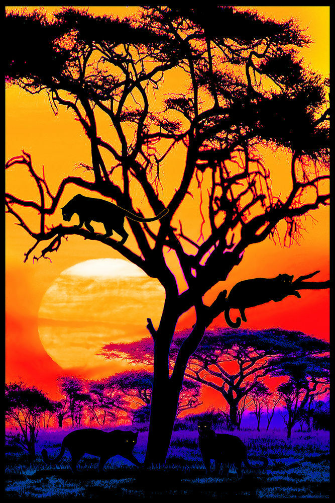 PANTHER PRIDE - BIG CATS BLACKLIGHT POSTER - 24X36 - SUNSET 433 | eBay