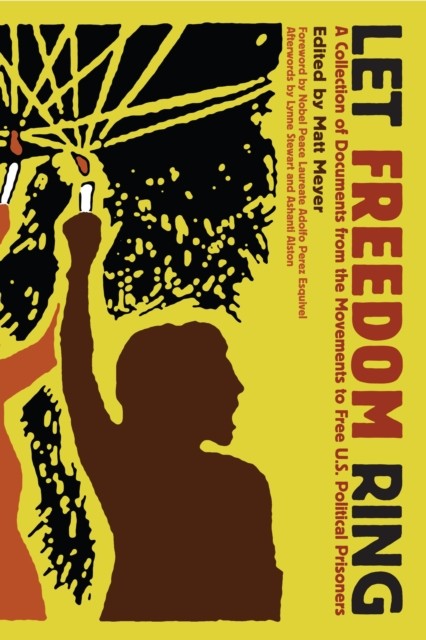 Let Freedom Ring: A Collection of Documents from the by Matt Meyer PAPERBACK