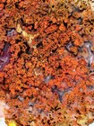 6-Texas Plume Agate And Moss Agate lapidary slabs  Rough 419 Grams — photo 4