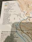 National Geographic 2000 Limited Revision Map Bird Migration In The Americas — photo 6