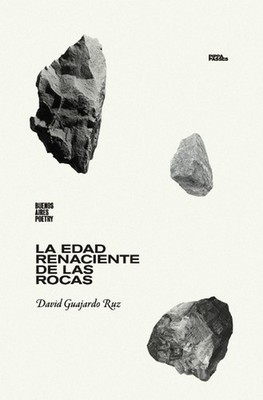 La edad renaciente de las rocas by David Guajardo Ruz (Spanish) Paperback Book