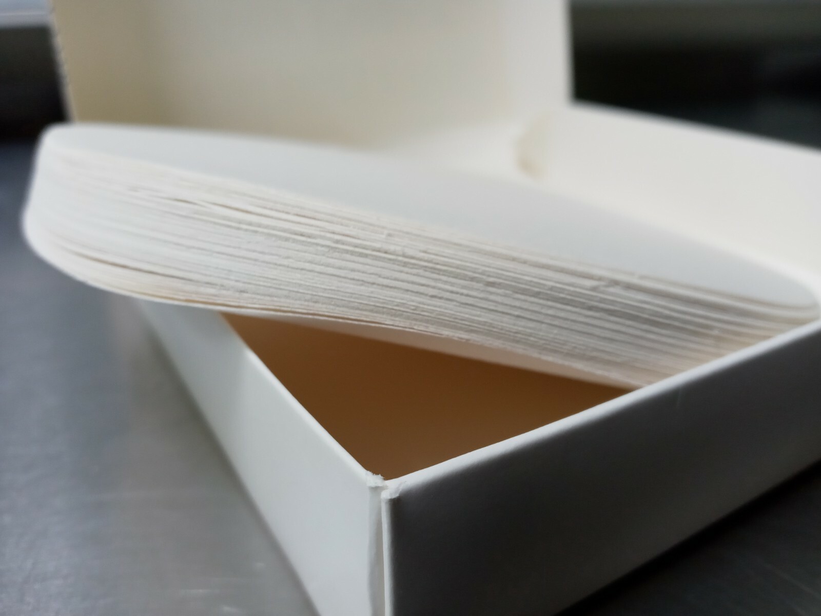 FISHERBRAND P8 Qualitative Plain Filter Paper Circles Course 150mm 09