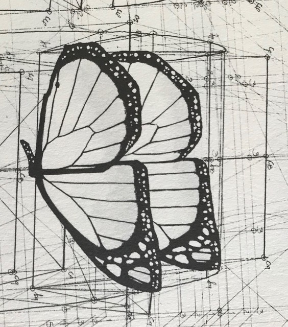 Download Golden Ratio Coloring Book By Artist Rafael Araujo Paperback July 26 2016 For Sale Online Ebay