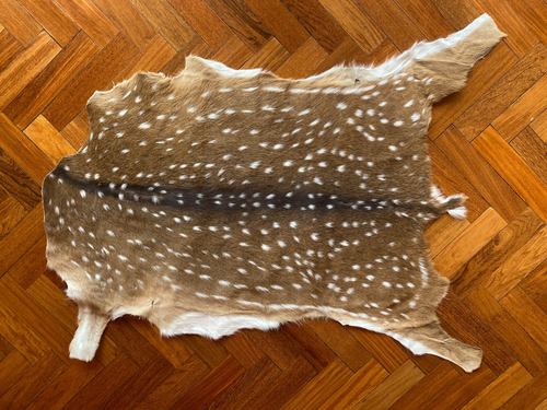 Tanned AXIS Deer SKIN LEATHER Chital HIDE RUG Argentine Deerskin - REAL ...