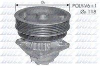 Dolz Wasserpumpe S224 FüR CitroËN Passend FüR Fiat Peugeot