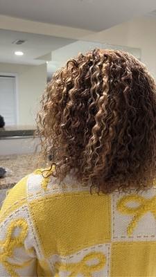 Jerry Curly 13x4 Lace Front Wigs Bob Human Hair Wigs 180% Density Pre Plucked 