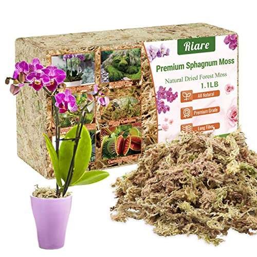 Riare Sphagnum Moss 500g, Natural Long Fibre Orchid Moss  Assorted sizes
