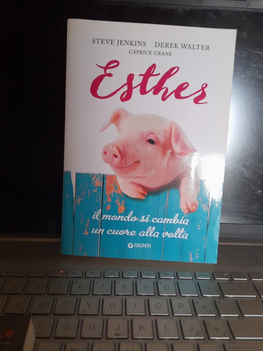 Esther Il Mondo Si Cambia Un Cuore Alla Volta Jenkins Walter Giunti