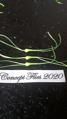 3X  lime head apps lime green bloodworms by CONCEPTFLIES new for 2020!