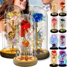 Rose Flower Gifts for Women Light Up Rose in Acrylic Dome Gifts for Mom Her Wife