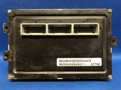 yuccoページ s-l400.jpg