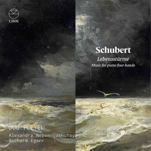 Franz Schubert Schubert: Lebensstürme - Music for Piano Four-hands (CD)