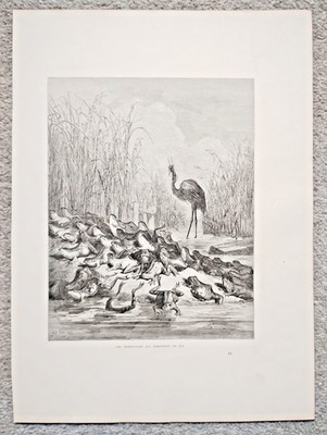 The Frogs Who Asked for a King, Gustave Dore - Antique Print - 1868