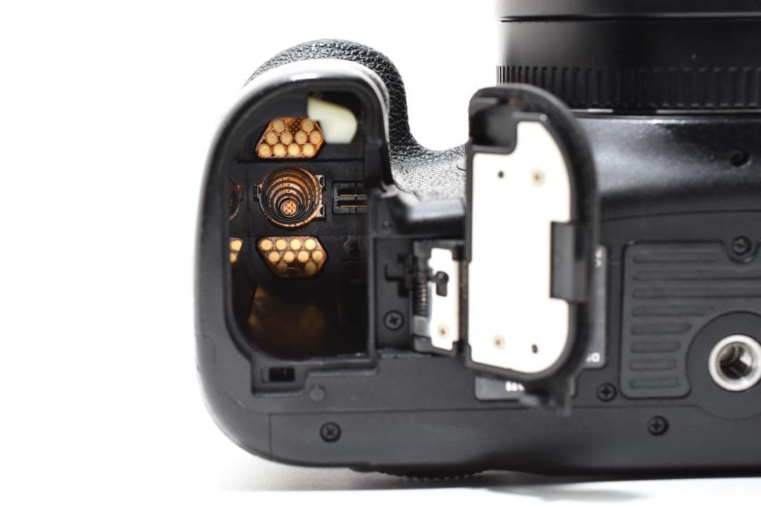 Canon EOS 7D MarkⅡ / Canon EF 75-300mm Canon EF 75-300mm f/4-5.6 III Lens - Stewarts Photo